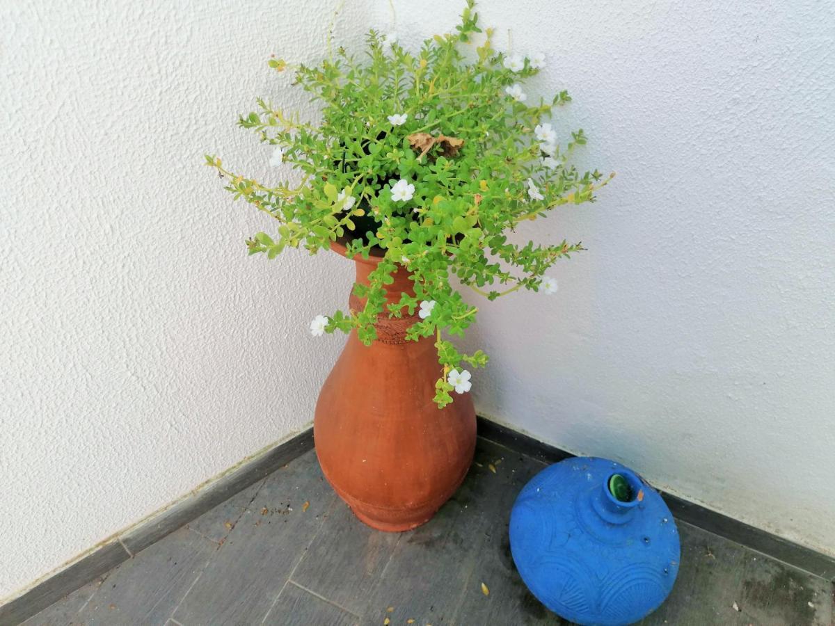 Lilac Homestay Setúbal Extérieur photo
