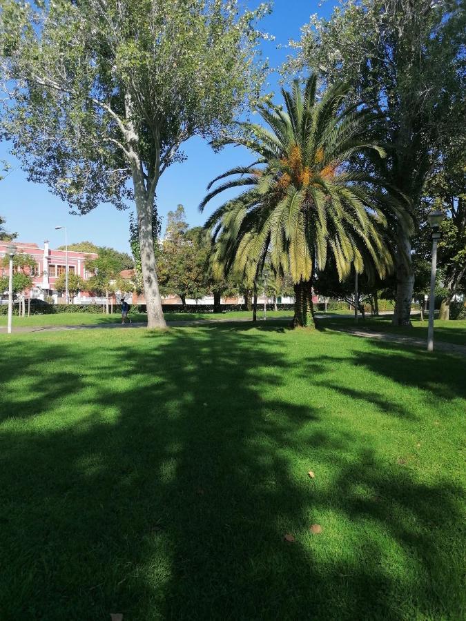 Lilac Homestay Setúbal Extérieur photo